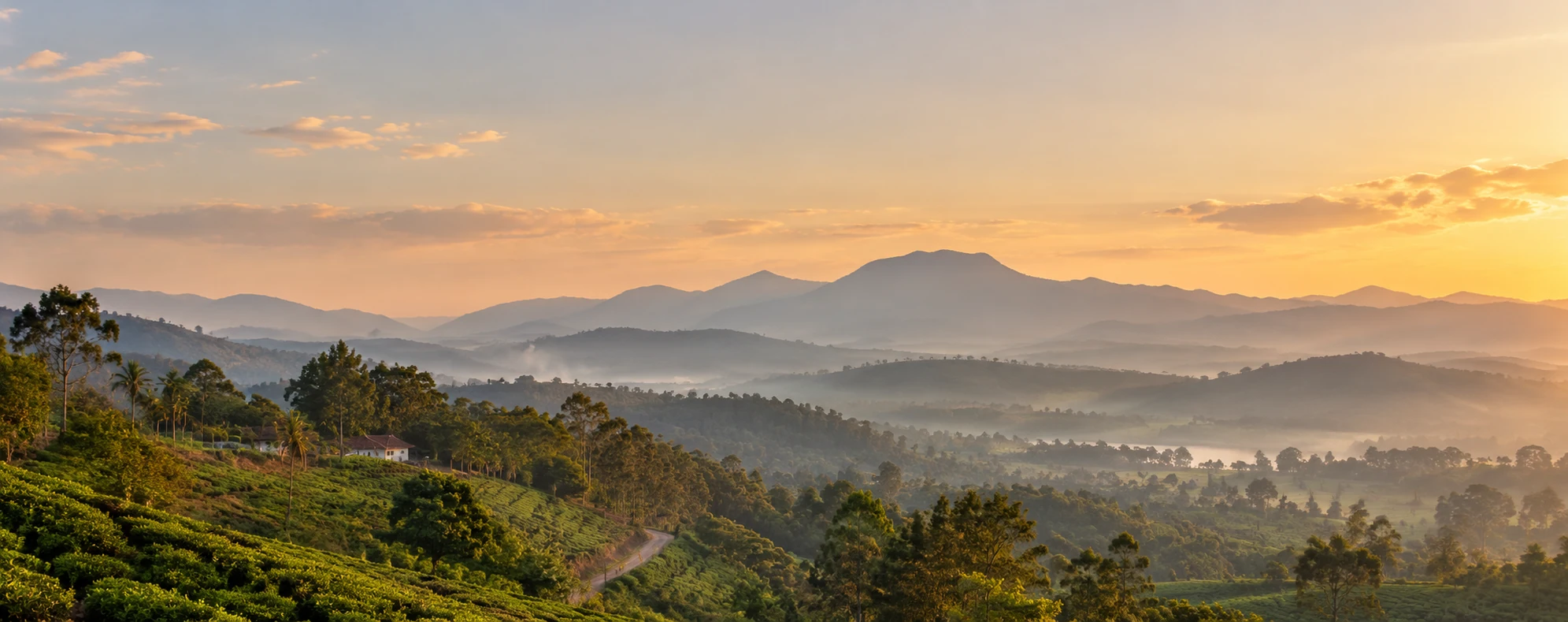 Sri Lanka’s hill country in the soft evening light